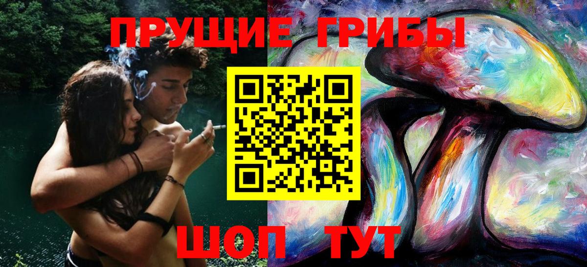 Псилоцибиновые грибы GOLDEN TEACHER Благодарный