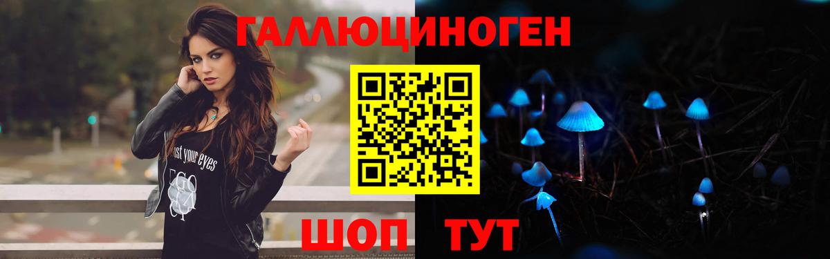 Галлюциногенные грибы прущие грибы  Вход с VPN  Благодарный 